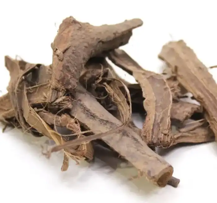 Walnut Tree Bark (Dandasa/Juglans Regia) دنداسہ