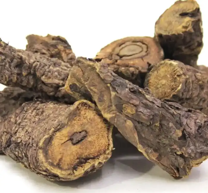 Rhubarb Roots(Rewand Chini) ریوند چینی
