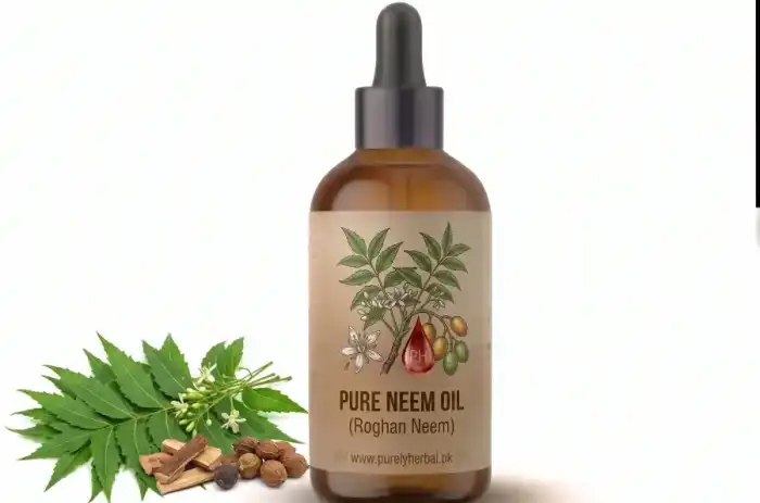 Pure Neem Oil (Roghan Neem)