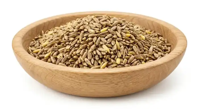 Apamarga Seed Whole,Latjira Seed,Chirchita,Apamarg Seed,Achyranthes Aspera Seed