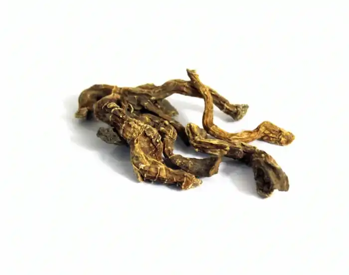 Parsnip (Siqaqal Misri)
