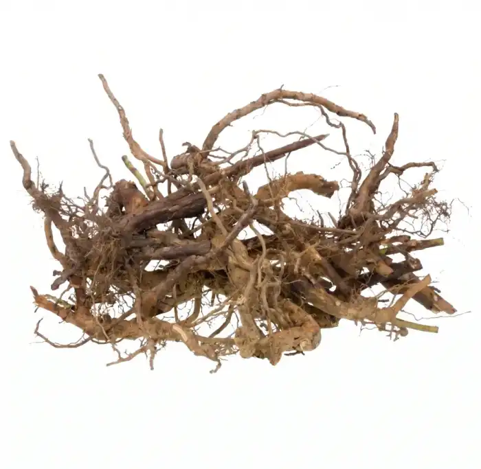 Natural Kasni Root Cichorium intybus Jar kasni 100% Pure