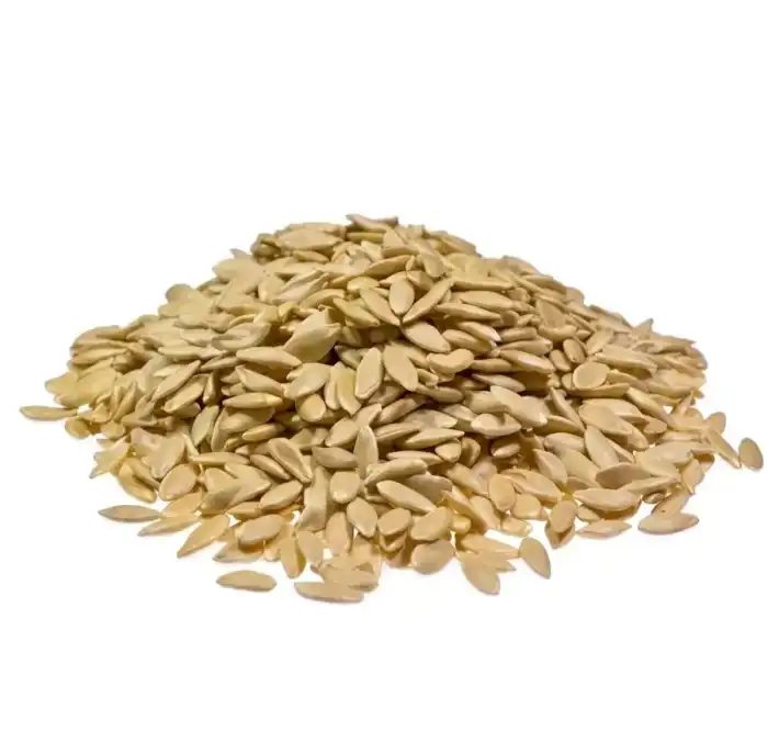 Cucumber Seeds (Tukhm-e-Khayareen) kheera seeds Cucumis sativus 100% Pure