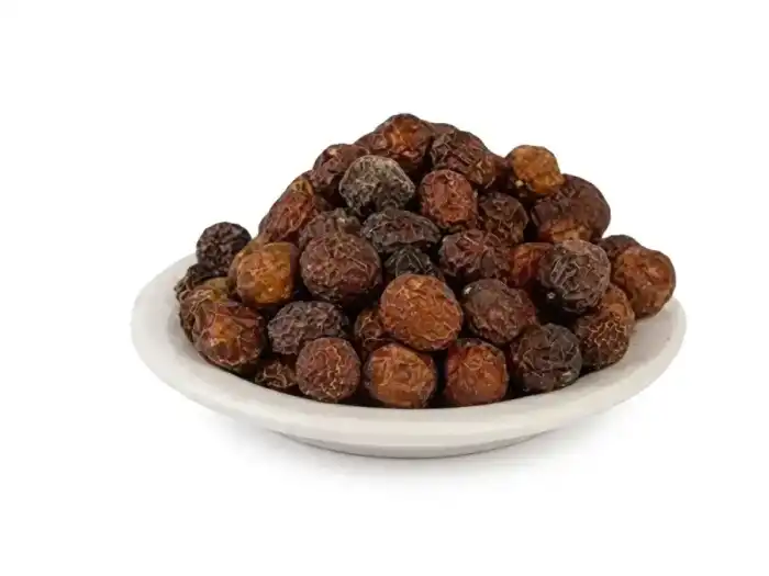 Chinaberry (Bakain) Melia azedarach 100% Pure