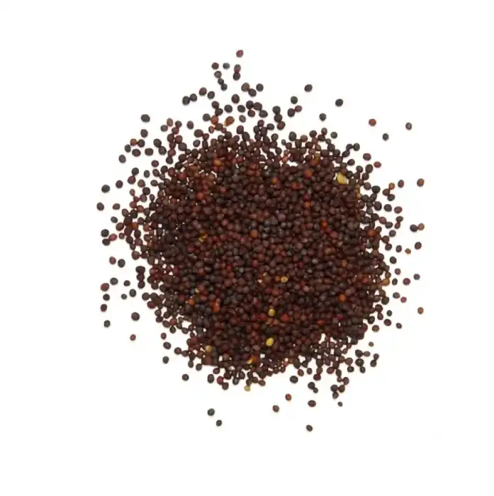 Brown Mustard (Sarson Zard) Brassica juncea 100% Pure