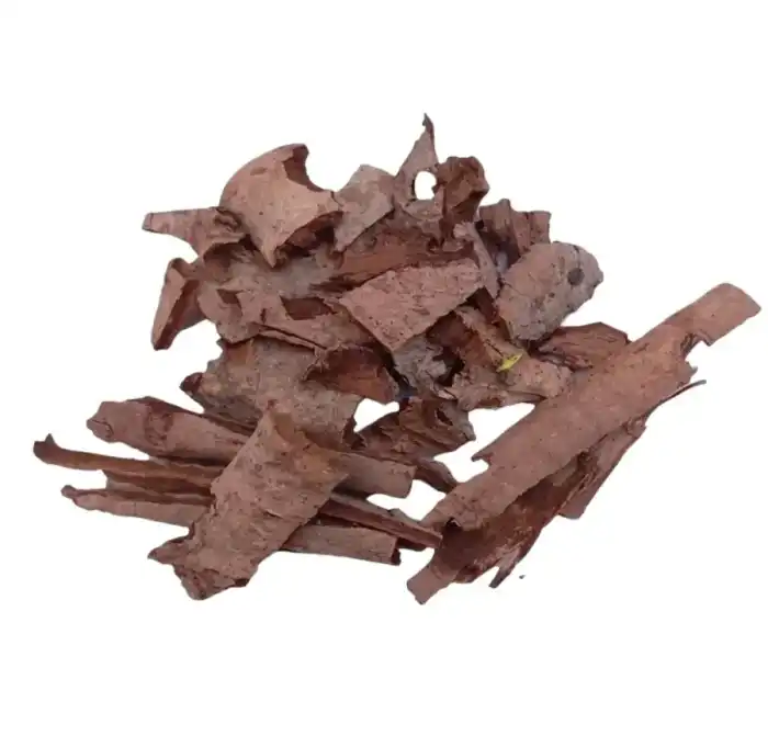 Bodhi Tree Bark (Peepal Ki Chaal, Peepal Ki Chal)