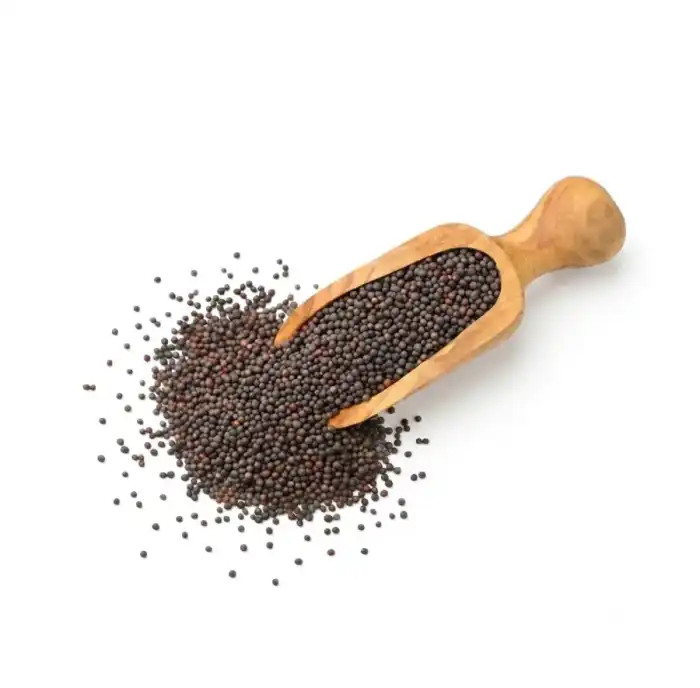Black Mustard Seeds (Rai) Brassica nigra Brassica juncea 100% Pure