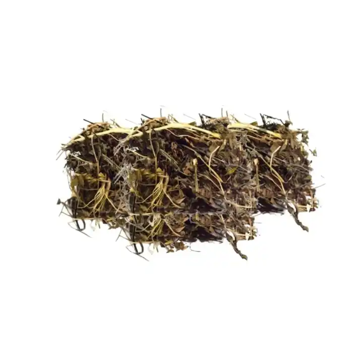 Birch ( Bhoj Patra ) بھوج پٹرا