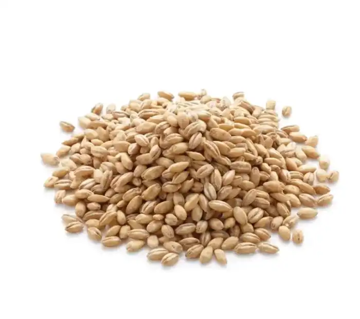 Barley (Joo) Hordeum vulgare 100% Pure